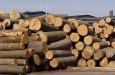Hai tháng đầu năm 2024, xuất khẩu gỗ và sản phẩm gỗ tới thị trường Canada tăng mạnh