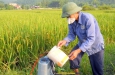 Sử dụng thuốc BVTV có trách nhiệm để nâng tầm hình ảnh lúa gạo Việt Nam