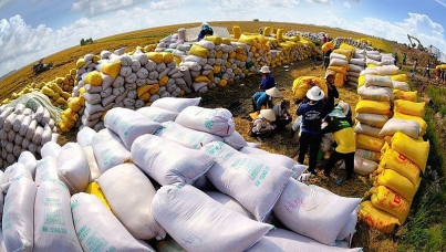 Bộ Công Thương triển khai nhiều giải pháp đẩy mạnh xuất khẩu gạo