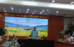 Việt Nam sẵn sàng cho cơ hội xuất khẩu gạo chưa từng có